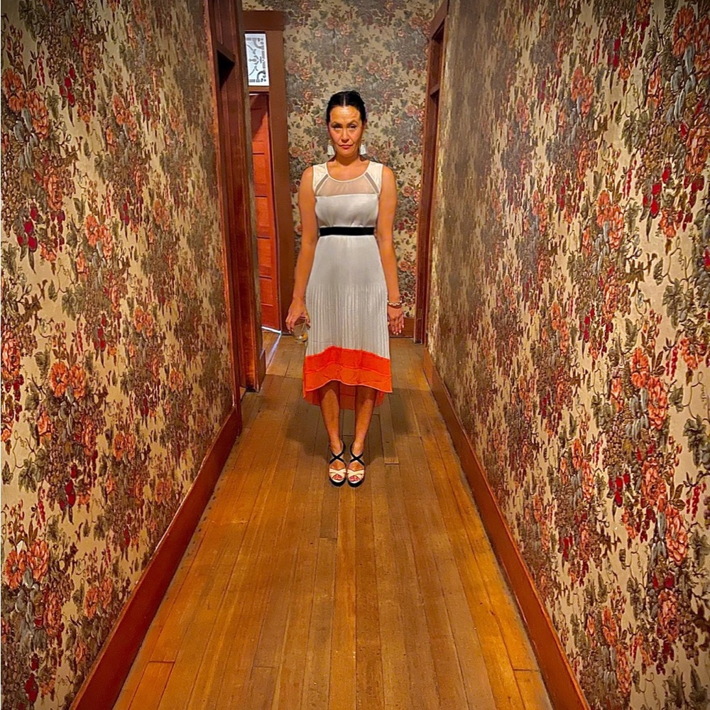 - BCBG Alicia pleated color block highlow dress - Picture 5 of 9